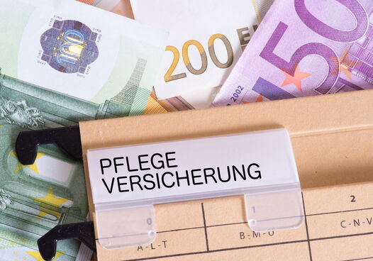 Pflege%20Kosten Min
